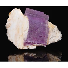 Fluorine Fluorine