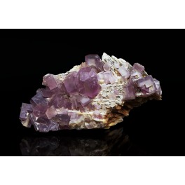 Fluorine 