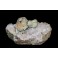  Prehnite sur quartz