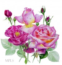 Une artiste peintre; Marie Pierre Le sellin
